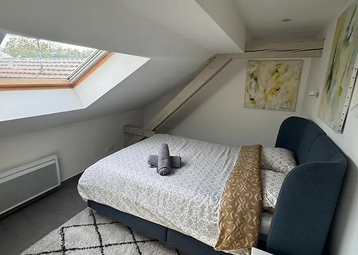 Cosy Au Centre De * 콜마